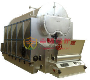 Biomass fired boilers